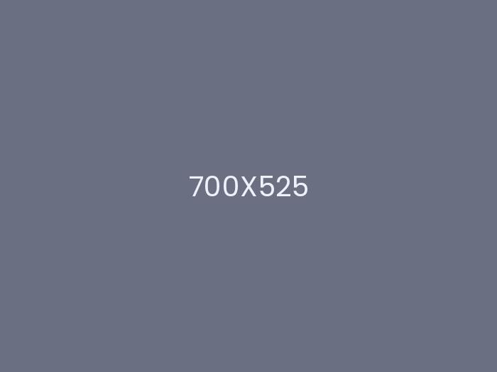 67de8ab6ad3bf1742637750.webp